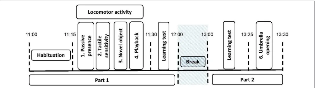 FIGURE 1 | Experimental procedure for the personality tests. The black dotted lines indicate the time at which each period started and ended