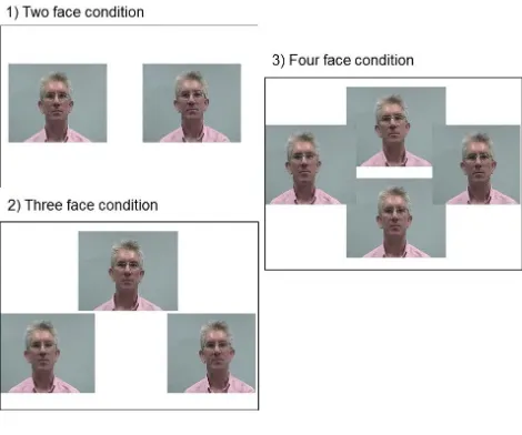 Figure 1. Arrangement of faces on screen in the two, three, and four face conditions. 