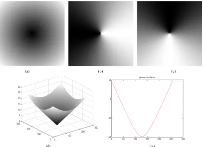 Figure 1.  Computer simulation (a) simulated phase map (b, c) simulated horizontal and vertical Phase gradient (d) 3d plotted phase map and (e) plotted line profile for row (:,128) 