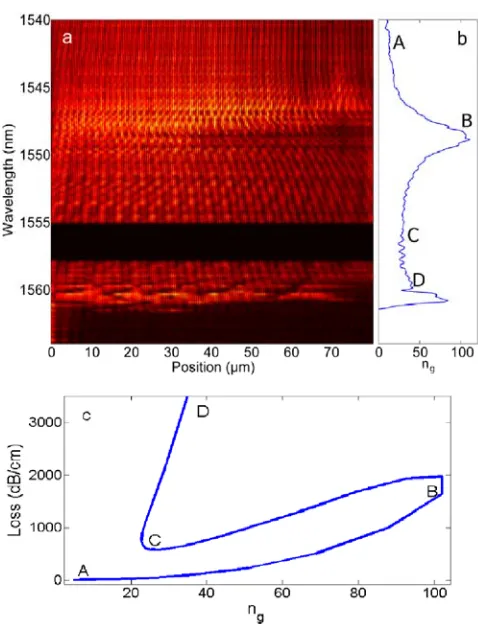 Fig. 6. a) Scanning near field optical micrograph of the amplitude of the electric field