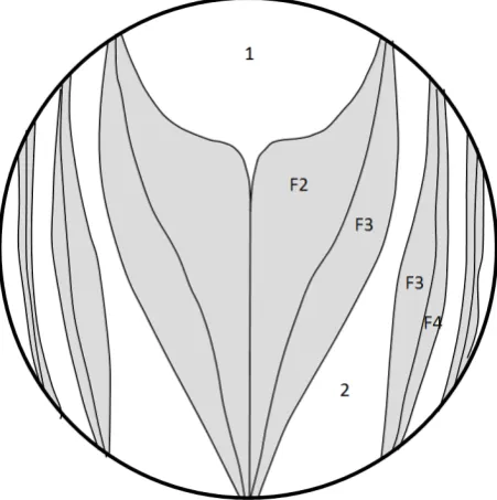 Figure 2.  Draft of a map reporting the patterns of accepted and rejected after low reflections; those entering the gray-colored areas labeled entrance opening is seen from above with incident rays sloping downward at rays at the entrance opening of a CPC 