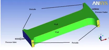Figure 2 shows the geometry that was used for meshing and the boundary conditions specified in the solver