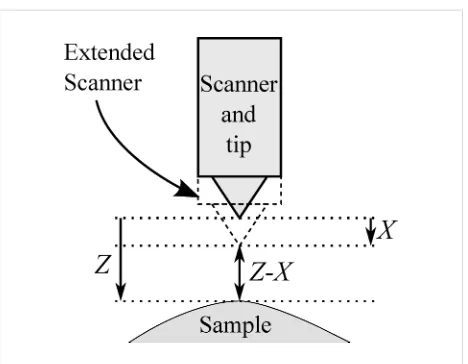 Figure 1: Schematic showing coordinates for sample position, Z, andscanner extension, X
