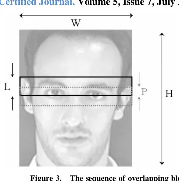 Figure 2. A one dimensional HMM model with seven states for a face image with seven regions