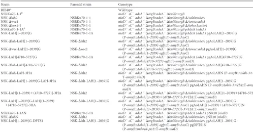 TABLE 1 Strains used in this study