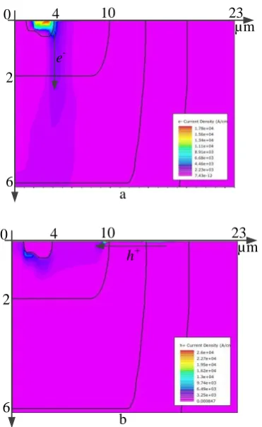 Figure 8: Simulated conduction current density at 1  µs after turn-off due to the latch-up event (a) electron concentration and (b) hole concentration
