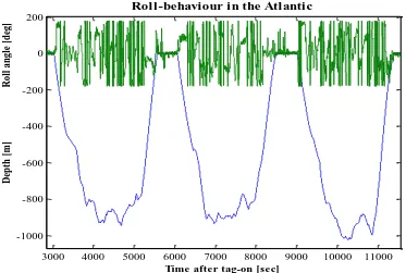 Figure 2.3 A typical dive profile from a sperm whale in the Atlantic (Sw03_206a), showing three examples 