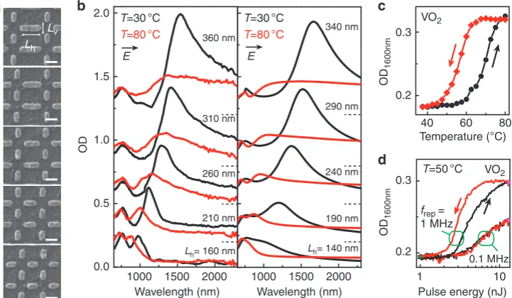 Figure 1 Temperature control of the resonances of the antenna–VO2 hybrids. (a) Helium-ion microscopy images of antenna arrays corresponding to ﬁxedLv = 160 nm and, from bottom to top, Lh = 160, 210, 260, 310 and 360 nm