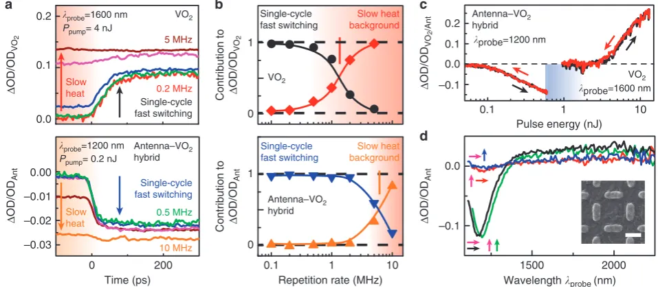 Figure 2 Contributions of the fast picosecond and slow thermal response to the optically driven IMT in VO2 and antenna–VO2 hybrids