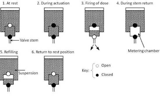 Figure 2: Sequence for a metering valve using liquefied gas propellant  