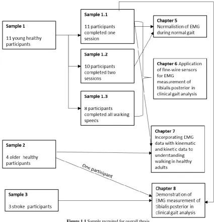 Figure 1.1 Sample recruited for overall thesis 