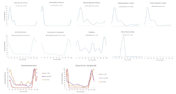 Figure 3.5 Group 3 Grand EMG profiles 