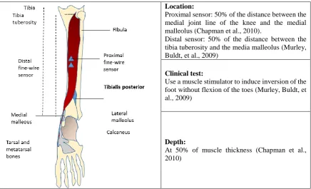 Table 4.3 Electrode placements for the tibialis posterior 