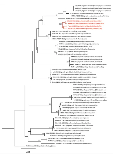 Figure 11. Maximum likelihood tree of European species of the Stigmella aurella group, showing the position of Stigmella tatrica in red