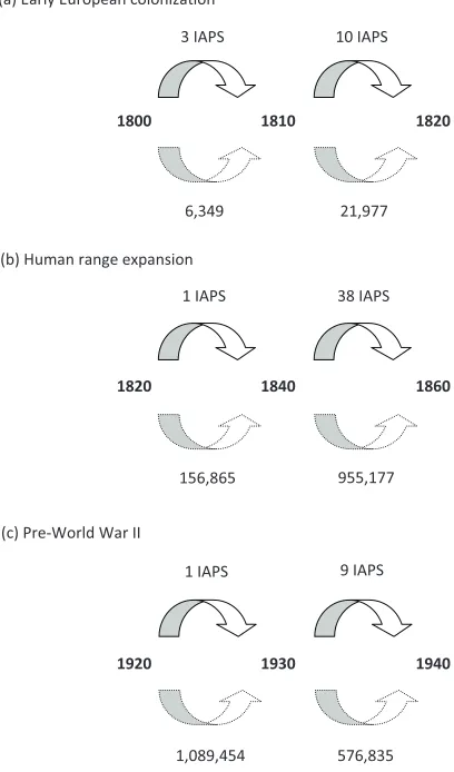 Figure 4. Increases in IAPS (numbers of species above arrows) and Australia’s human population (number of people below arrows) in relation to time (years shown between arrows) during a early European colonization b human range expansion and c pre-World War II.