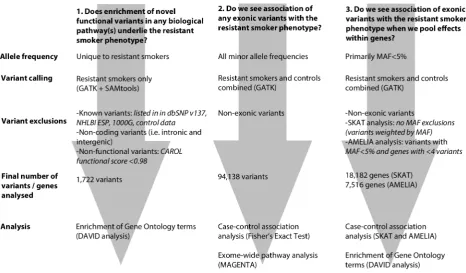 Figure 1. Flowchart describing each of the 3 main analytical pathways used to explore the genetic architecture of smokingresistance