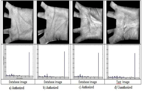 Fig.05 Palm database Images with authentication. 
