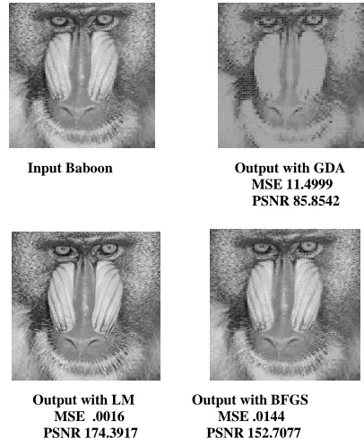 Figure 6: Different Output Results 
