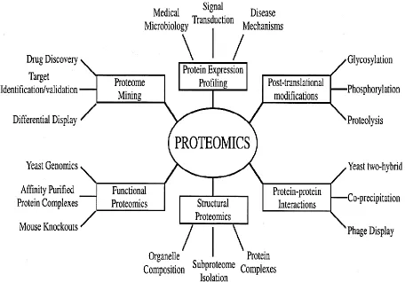 Figure 2.7: Type of proteomics and their applications to biology. 