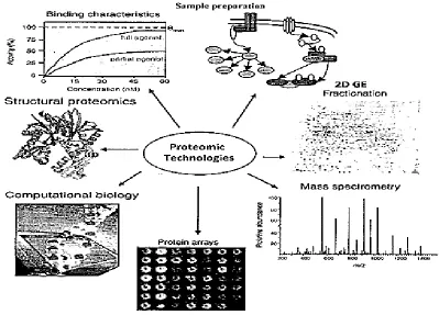 Figure 2.9: A partial view of various proteomic technologies important in drug discovery