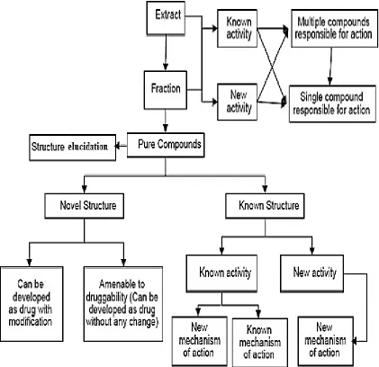 Figure 2.11: Steps of natural products discovery. Modified from (Katiyar et al., 2012)