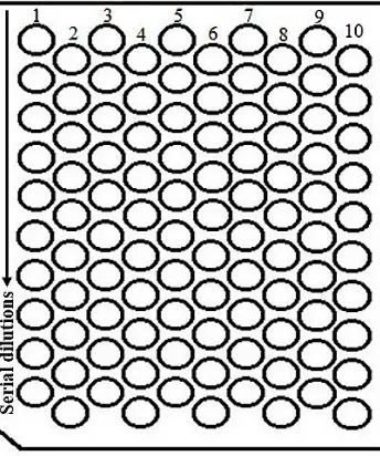 Figure 3.3: Schematic diagram of a 100 well microtiter plate used in Bioscreen-C machine