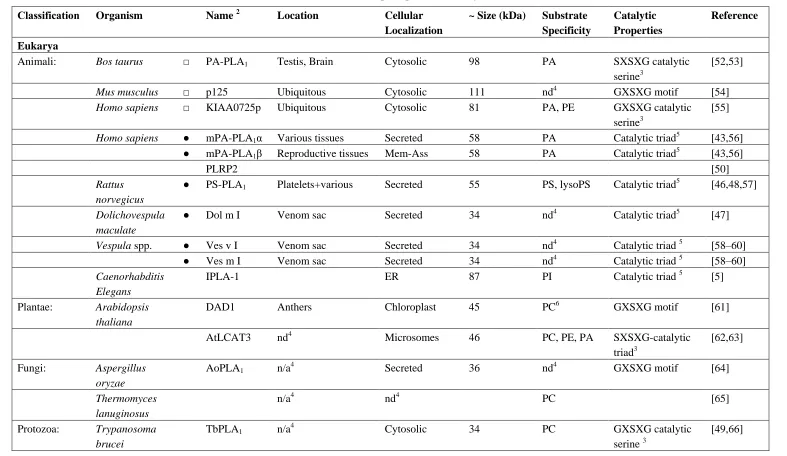 Table 1. The Phospholipase A1 Family 1. 