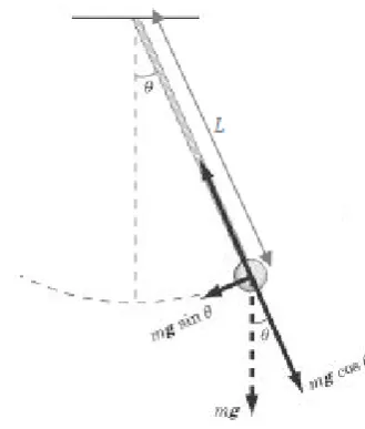 Figure 1.  Free body diagram of a linear pendulum  