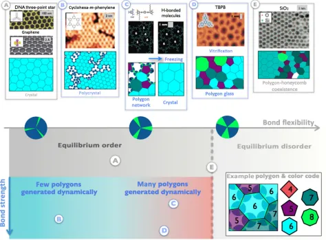 FIG. 1.Spanning a length scale of 3 orders of magnitude, the networks formed by a diverse collection of building blocks can beDynamically, they can self-assemble as (B) honeycomb polycrystalssuch building blocks form the honeycomb network when their intera