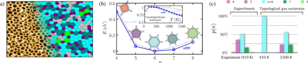 FIG. 2.Analysis of one example from Fig.experiment and as predicted in equilibrium (using the topological-gas model) at two temperatures indicates that the network seen in the 1 reveals the microscopics of polygon formation