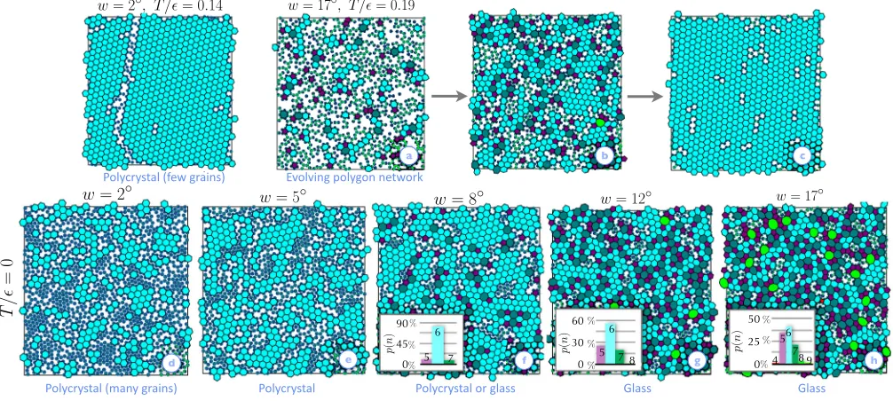 FIG. 5.Model capturing the microscopics of Fig.network order 2 captures the range of nonequilibrium behavior seen in experiments