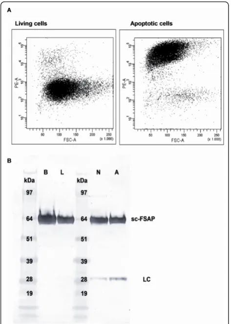Figure 2 ELISA20 recognizing AP was used as catching antibody and biotinylatedanti-FSAP-4 was used for detectionFSAP with C1-inh, KOK12, a monoclonal antibody recognizingcomplexed C1-inh was used as a catching antibody