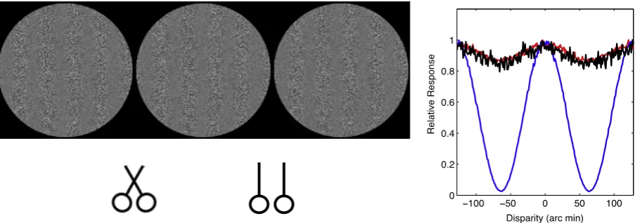 Fig. 2. An example stimulus containing second-order disparity. The two eyes’ images consist of identical white noise samples that have been contrast modulated by asinusoid
