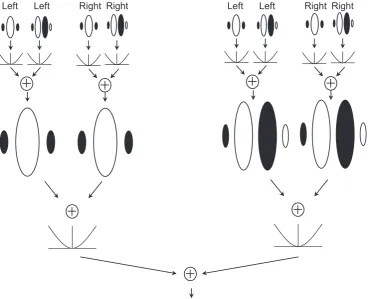 Fig. 3. A second-order binocular energy model. Energy responses are ﬁrst calculated separately for each eye