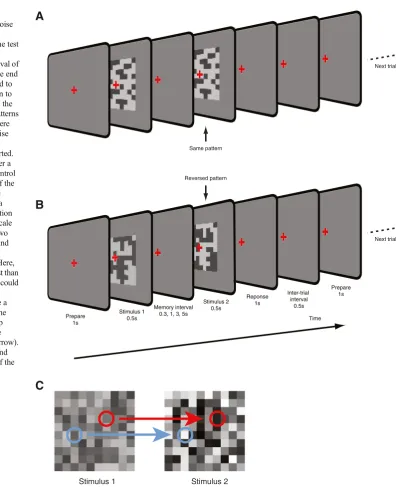 Fig. 1 VSTM task for thein both stimulus intervals werekept the same, or (Atten Percept Psychophys (2014) 76:1925contrast of random binary noisepatterns