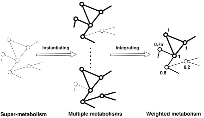 Figure 1. Constructing weighted metabolic networks. The metabolism of each species is a specific instantiation of the super-metabolism.Nodes in grey mean that they do not occur in a specific genome.doi:10.1371/journal.pone.0089618.g001