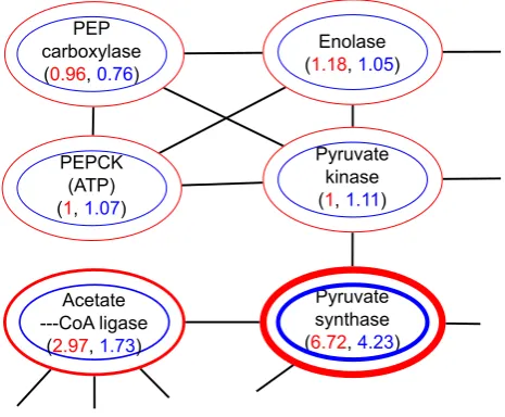 Figure 4. Sequence similarity weight in a section of glycolysis.The weights for Archaea are in red, the weights for Eubacteria are inblue.doi:10.1371/journal.pone.0089618.g004