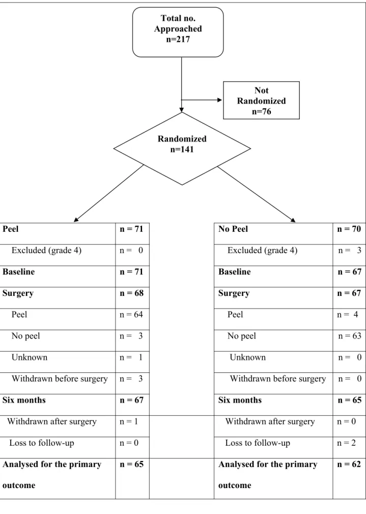 Figure 1: Consort diagram