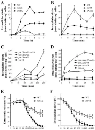 FIG 5 Nar1 is involved in nitrite and nitrate efﬂux. (A) Nitrite excretion. Ammonium-grown cells were resuspended at an OD660 of 2 to 3 in synthetic mediumplus 5 mM nitrate