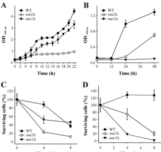 FIG 7 The ssu2� strain presents reduced cell viability in nitrate while the nar1� strain does so in nitrite