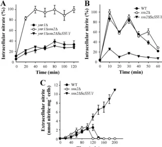 FIG 8 Scstarved for 120 min. Intracellular nitrate (A) or nitrite (B) assays were triggered with 1 mM nitrate or 1 mM nitrite
