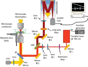 Fig. 1 Experimental setup (not to scale): A laser beam is expanded through a telescope formed by Lens #1 and Lens # 2 lenses and reﬂected fromsame microscope objective and ﬁltered by the same HNF