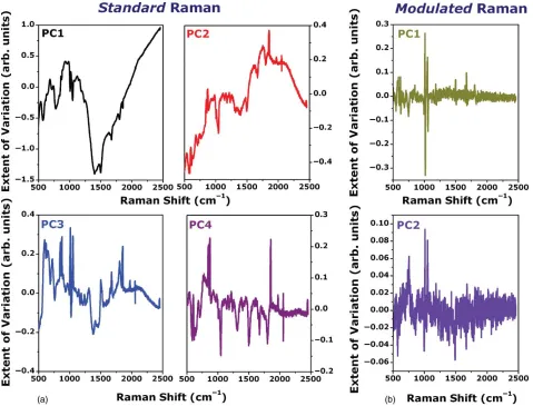 Fig. 3 (a) First four principal components generated by the analysis of SR spectra for control MGH cells