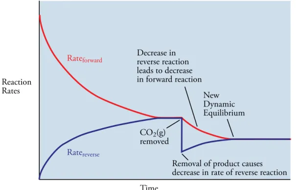 Figure 14.25 Effect of Decreased   Concentration of   Product on Equilibrium
