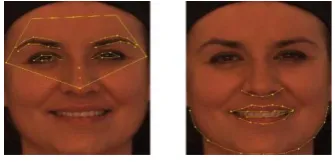 Fig. 3 Emotions 