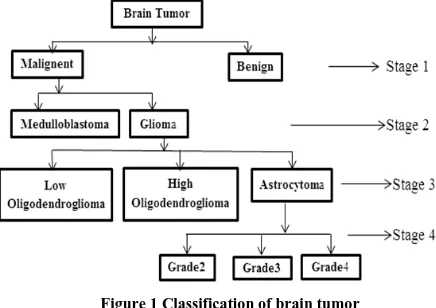 Figure 1 Classification of brain tumor 