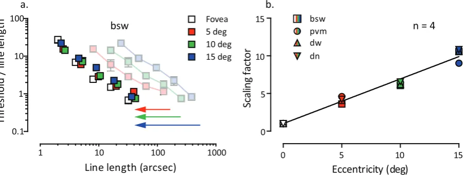 Figure 3 | Spatially scaling stimuli equates peripheral to foveal Vernier alignment thresholds