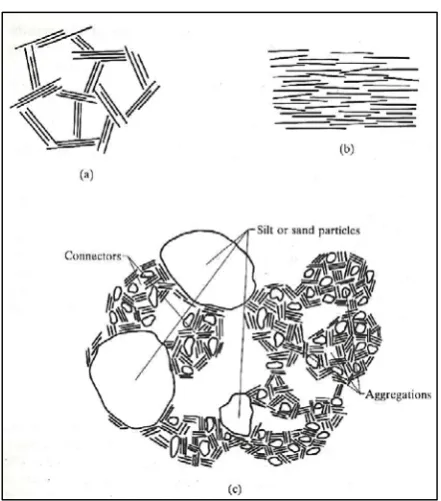 Figure 2-2: Micro-structure representation of clay structures; a) Flocculated 