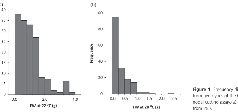 Figure 1 Frequency distribution of tuber yield