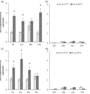 Figure 4 Relative expression level of HSc70 in